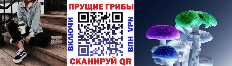 Галлюциногенные грибы прущие грибы  где можно купить наркотик  kraken tor  Казань 