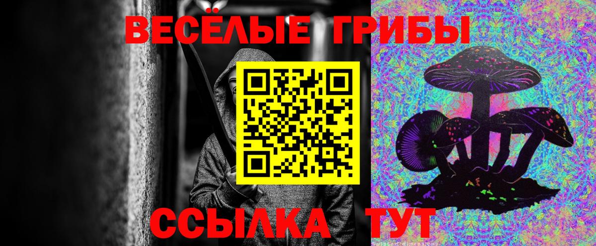 Казань  Псилоцибиновые грибы Psilocybe  Вход с VPN  Галлюциногенные грибы мухоморы 
